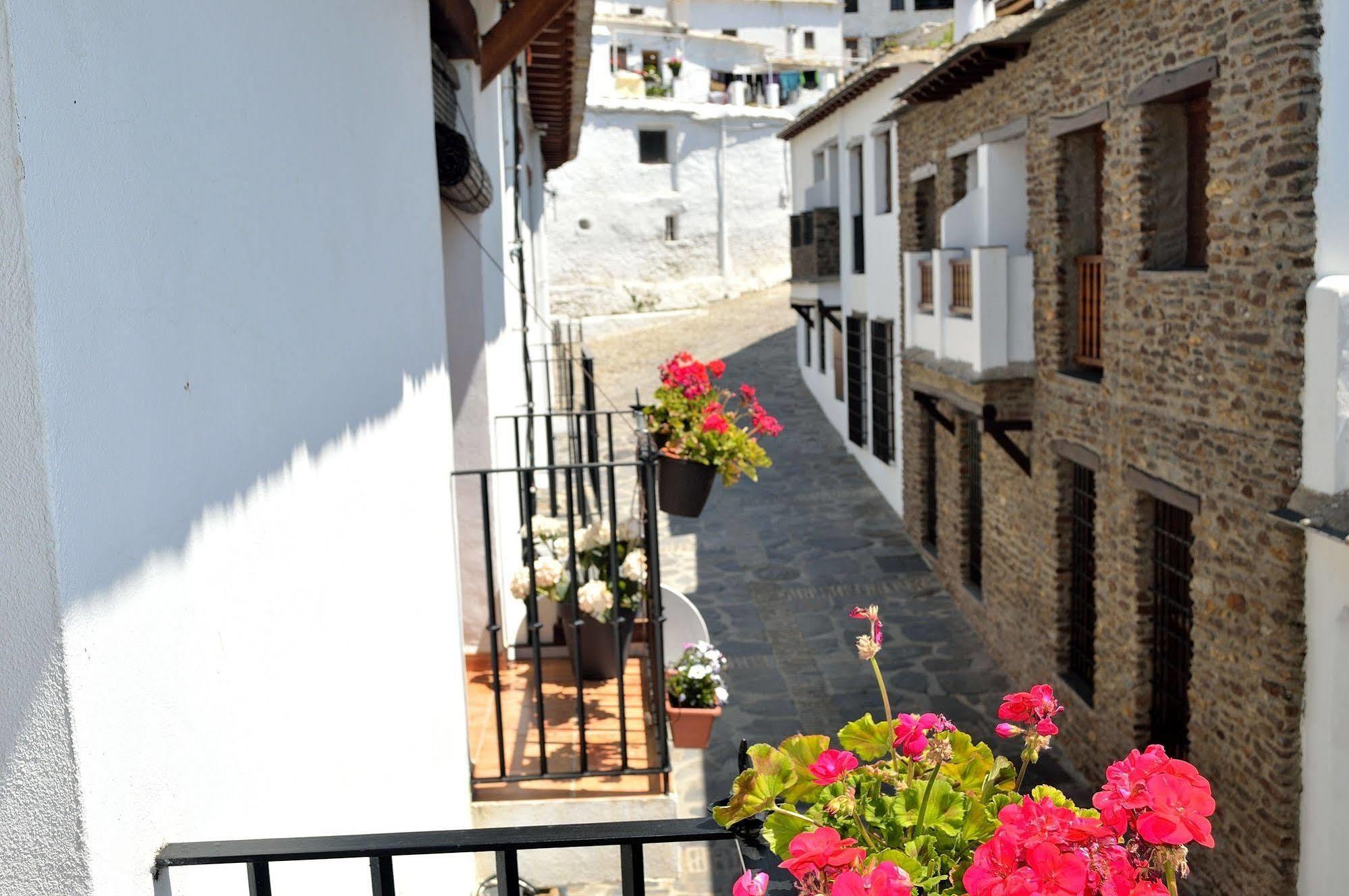 Hotel Rural Alfajia De Antonio カピレイラ エクステリア 写真